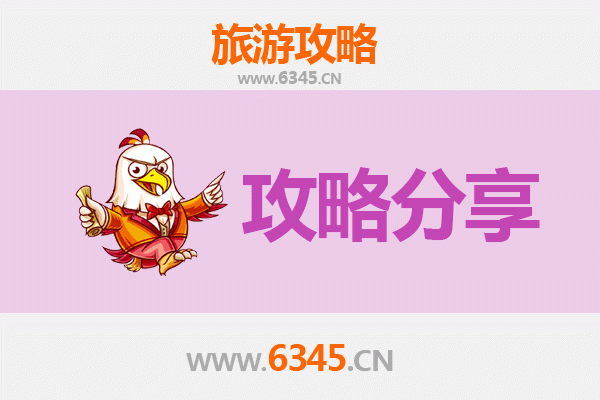 庆阳华池旅游攻略：跟团与自由行深度对比