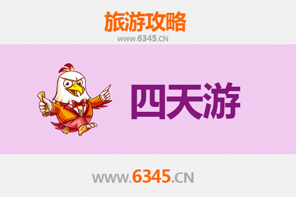 庆阳华池四天三夜深度游攻略：探秘陇东文化与自然奇观